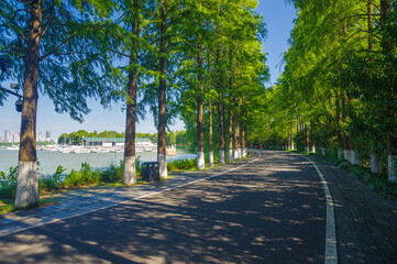 Summer scenery of Wuhan East Lake Scenic Area
