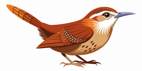 Vector South Carolina State Bird - The Carolina wren (Thryothorus ludovicianus)
