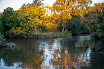 Fototapeta premium autumn trees reflected in water