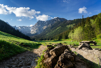 Mała Łąka Valley (Little Meadow) is an incredibly charming corner of the Tatras, which captivates with its natural beauty and wildness. This picturesque valley is located in the Western Tatras(Poland) © marekfromrzeszow