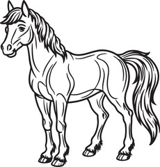 horse illustration