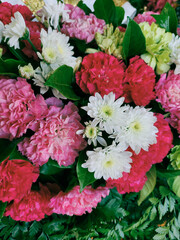 Close up of carnation flowers background
