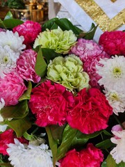 Close up of carnation flowers background