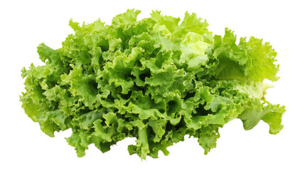Lettuce transparent background