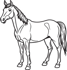 horse illustration