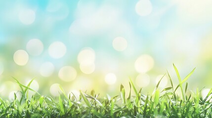 Fototapeta premium Lush Green Grass with Soft Bokeh Background