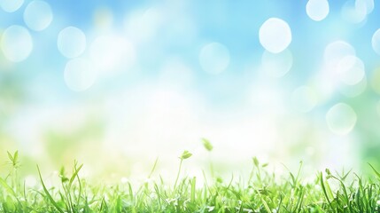 Obraz premium Serene Nature Background with Grass and Bokeh