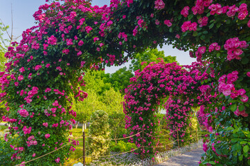 Spring scenery of Shahu Park in Wuhan