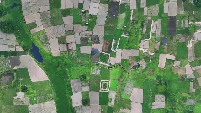 Vibrant Green Fields and Scattered Rural Settlements from top down Aerial view