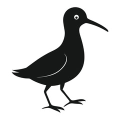 Illustration of Petrel bird silhouette