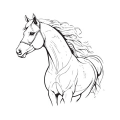 line art horse on white background. sketch style. Vector graphic icon animal.