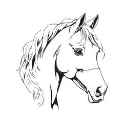 line art horse on white background. sketch style. Vector graphic icon animal.