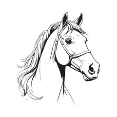 line art horse on white background. sketch style. Vector graphic icon animal.