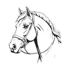 line art horse on white background. sketch style. Vector graphic icon animal.