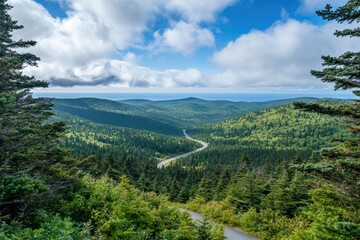 Fototapeta na wymiar Scenic overlook with a road winding through pine forest below, panoramic beauty