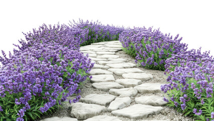 Obraz premium PNG Lavender path serene garden