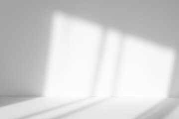 Abstract white studio background with shadows of window. Empty 3d room. Display product with blurred backdrop.