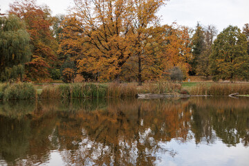 Obraz premium Autumn colors reflect beautifully on still water in Stromovka park, Prague, Czech republic