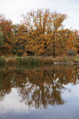 Vibrant autumn colors mirrored on calm water