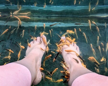 Fish Pedicure in Thailand