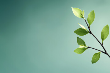 Close-up of fresh green leaves on a branch against a soft gradient background, showcasing the beauty of nature and new beginnings.