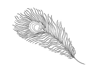 Continuous one line drawing of beautiful peacock feather. Peacock feather single line vector illustration. Editable line vector.