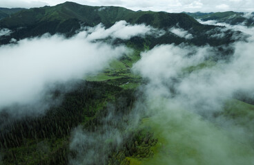 Aerial view of beautiful high altitude forest landscape