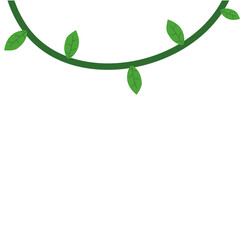 Jungle frames. Green vine. Tree foliage. Rainforest liana. Cartoon plants. Creeper branch. Grass and wood leaf signs.