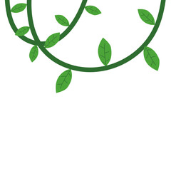 Jungle frames. Green vine. Tree foliage. Rainforest liana. Cartoon plants. Creeper branch. Grass and wood leaf signs.