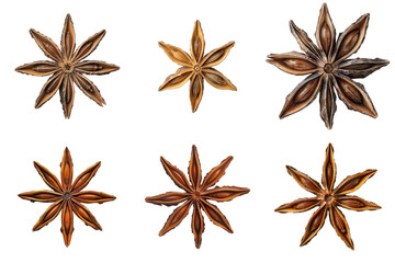 Six Star Anise Spices Isolated on White Background