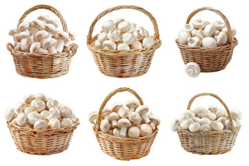 Six wicker baskets filled with white mushrooms