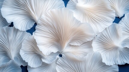 A detailed image showing soft, delicate white mushroom gills overlaying a blue backdrop, capturing the organic beauty and texture found in nature's intricate designs.