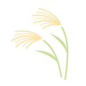 ススキのイラスト