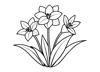 spring flowers vector illustration, line art