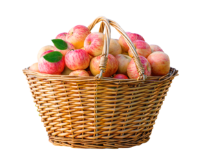 Freshly pink apples are placed in a beautifully woven basket ready for enjoyment and use