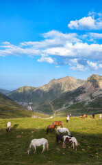 Paysage des Hautes-Pyrénées françaises.