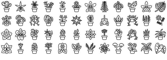 Set Of Linear Botany Houseplants Isolated Silhouette Solid Icons With Houseplant,Plant,Species,Botany,Flower Vector Icon Set Linear Pictogram Pack