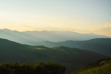 landscape in the mountains silhouettes of mountains, forest, travel, in green tones