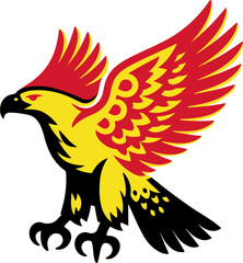 White bellied Sea Eagle with