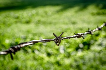 Rusty barbed wire on a fence
