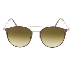 isolated stylish fashion brown sunglasses