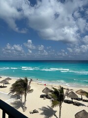beach with palm trees