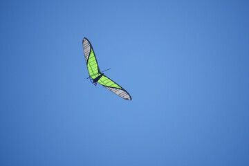 hang gliding on a beautiful day © eloi