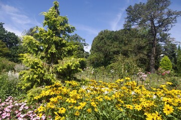 Les fleurs du jardin du Thabor