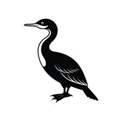 Cormorant seabird icon vector illustration  with white background