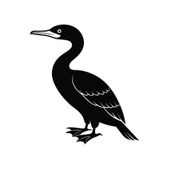 Cormorant seabird icon vector illustration  with white background