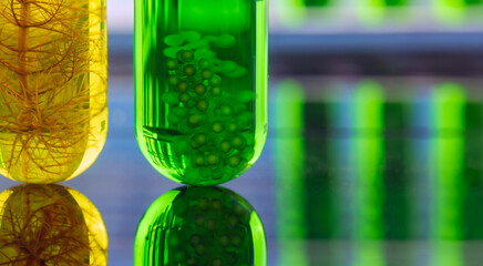 Algae fuel biofuel industry lab researching for alternative to fossil algae fuel or algal biofuel. Zero carbon emission concept.