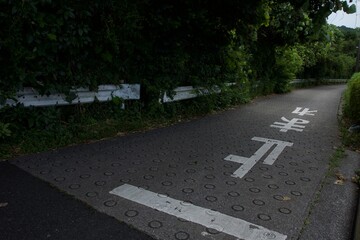 真夏の舞岡公園の風景　神奈川県戸塚区舞岡町