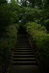 Obraz premium 真夏の舞岡公園の風景 神奈川県戸塚区舞岡町