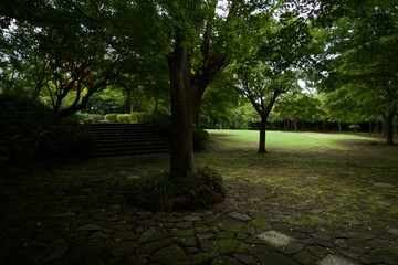 真夏の舞岡公園の風景　神奈川県戸塚区舞岡町